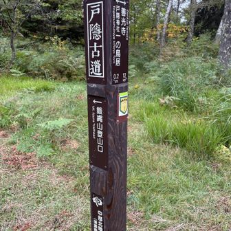 歴史を感じます🤔