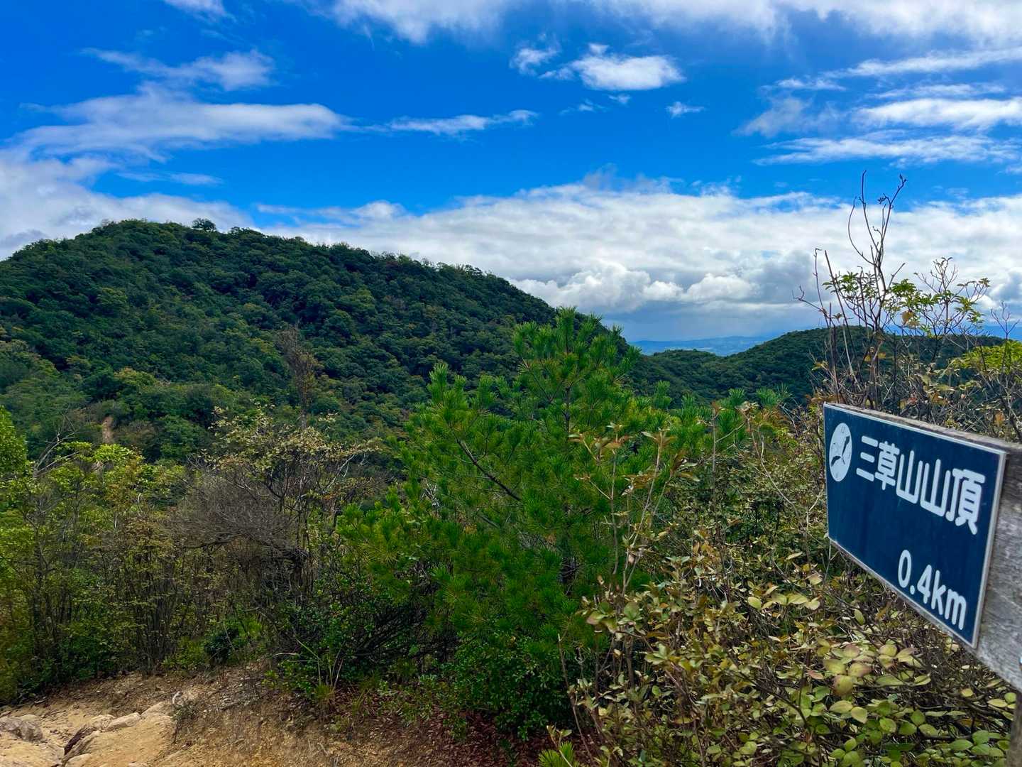 1本大きな木🌲があるところが頂上😄