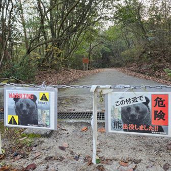 一丈野駐車場を抜けて林道を進む

駐車場には既に車がいっぱい
綺麗なトイレもありました