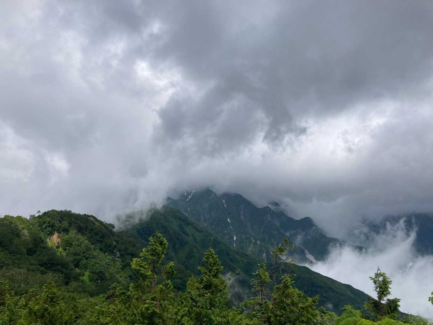 地蔵の頭-小遠見山-中遠見山-大遠見山-西遠見山-白岳-五 縦走コースの写真