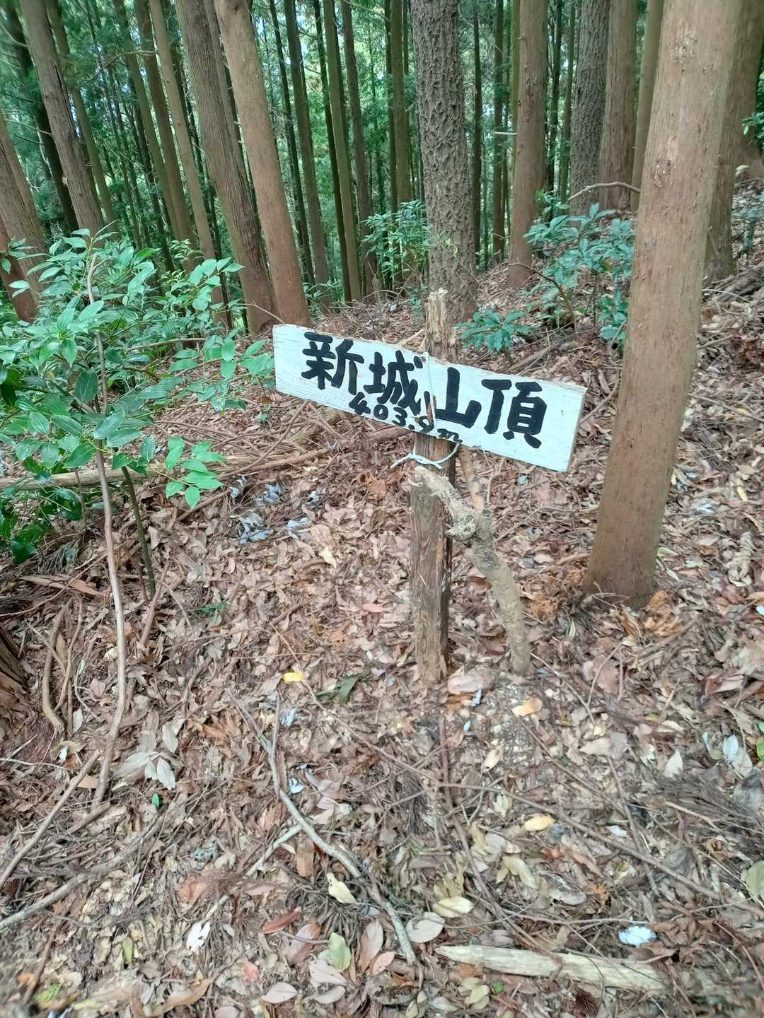 山頂　眺望なし。
