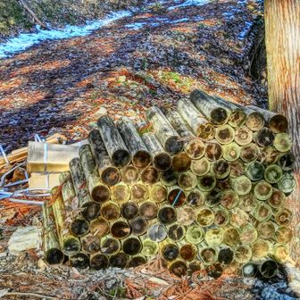 １本が結構重量ありそうな丸太です