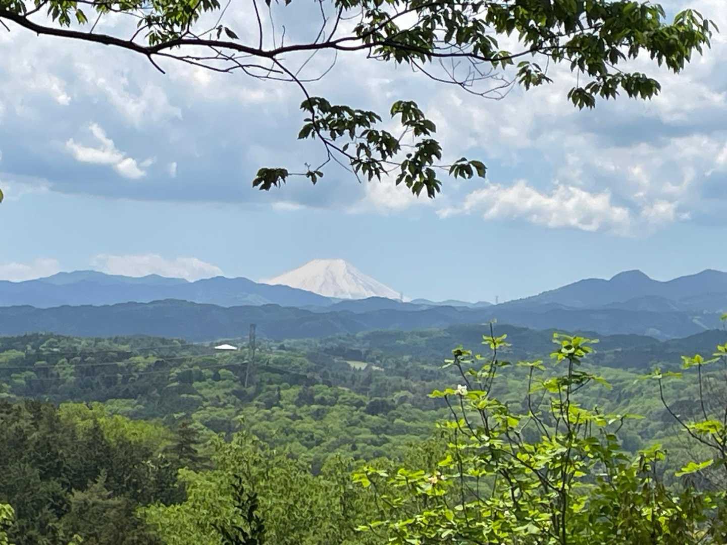 東青梅駅-塩船観音寺-笹仁田峠-七国峠-七国山-七国山登山 縦走コースの写真