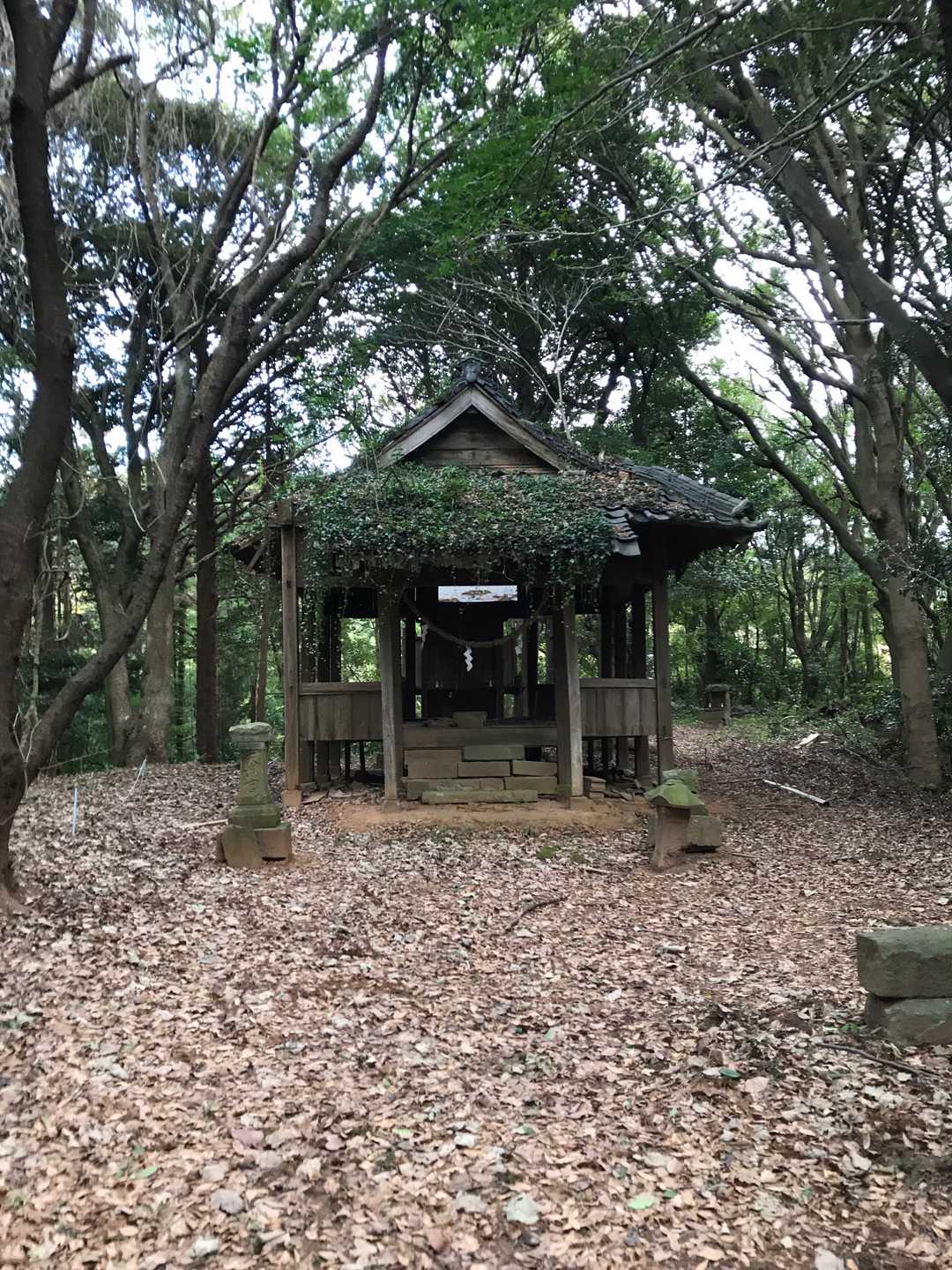 登り切って音丸山