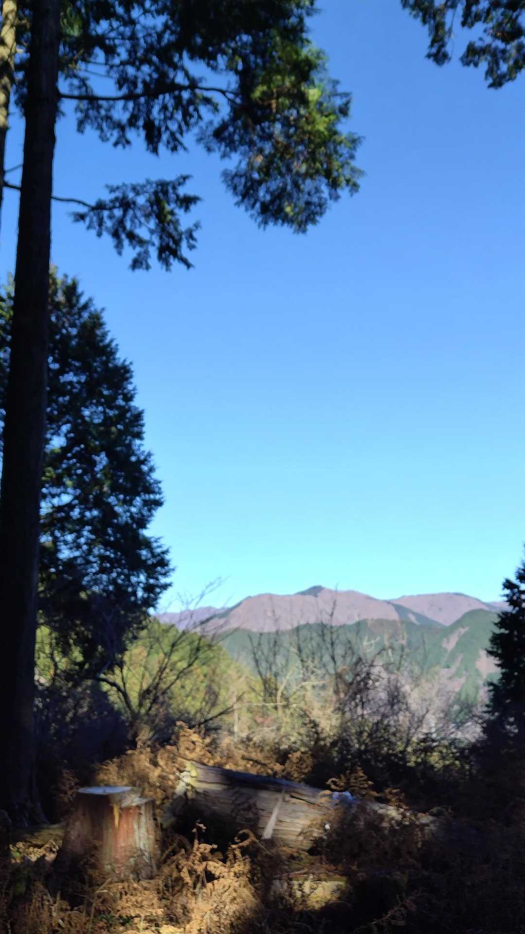 あれは大野山　ピンボケ
