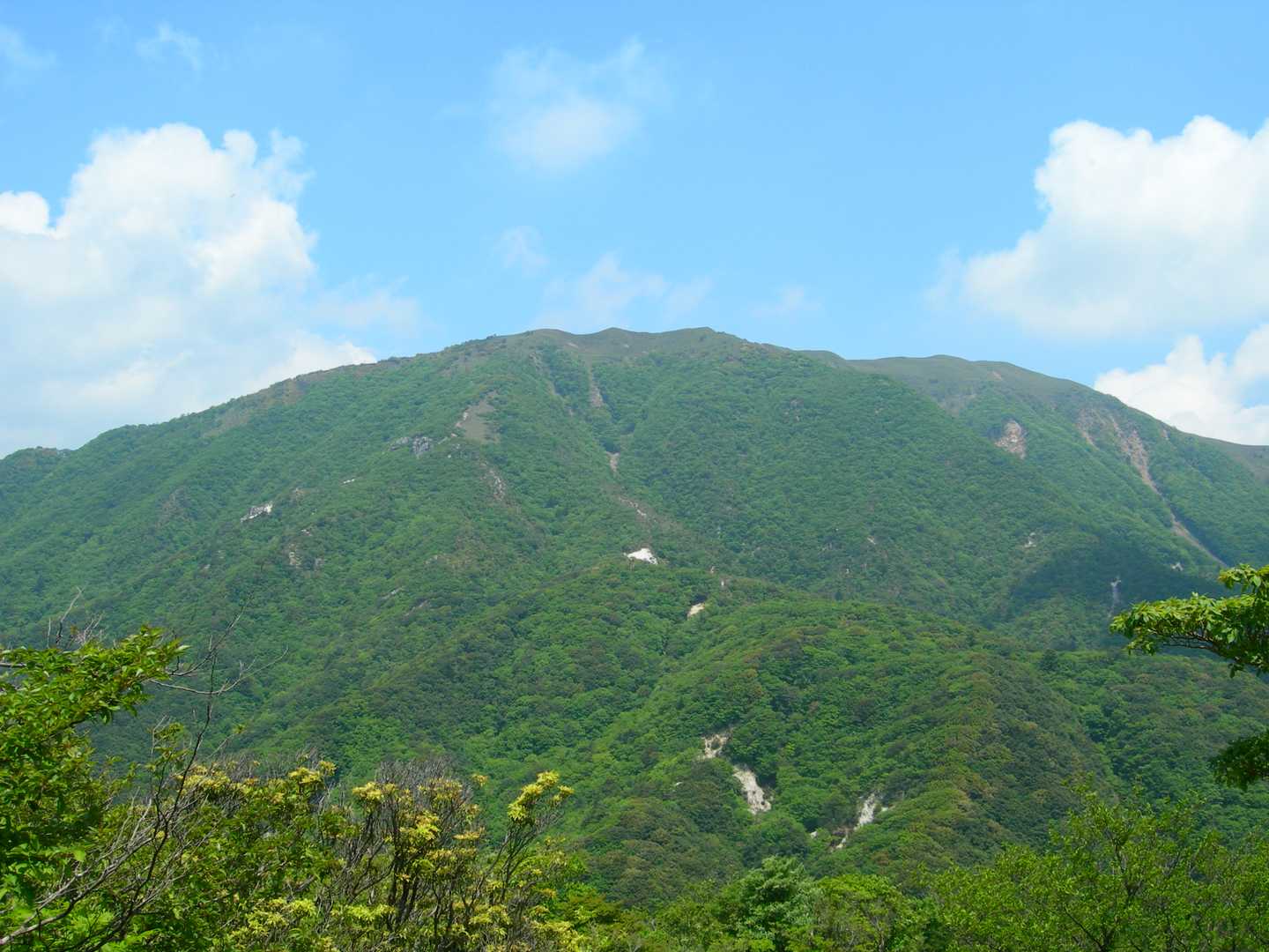 石榑峠-三池岳-八風峠-北仙香山-中峠 往復コースの写真