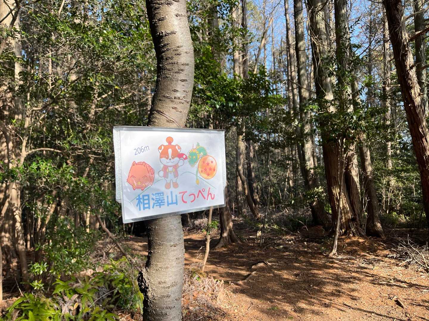 相澤山