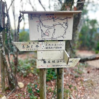 ルート案内板❗️ 
詳しく明記して有ります❗️😃