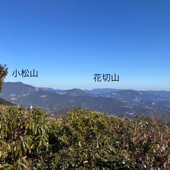 ここの眺望は最高です🤩