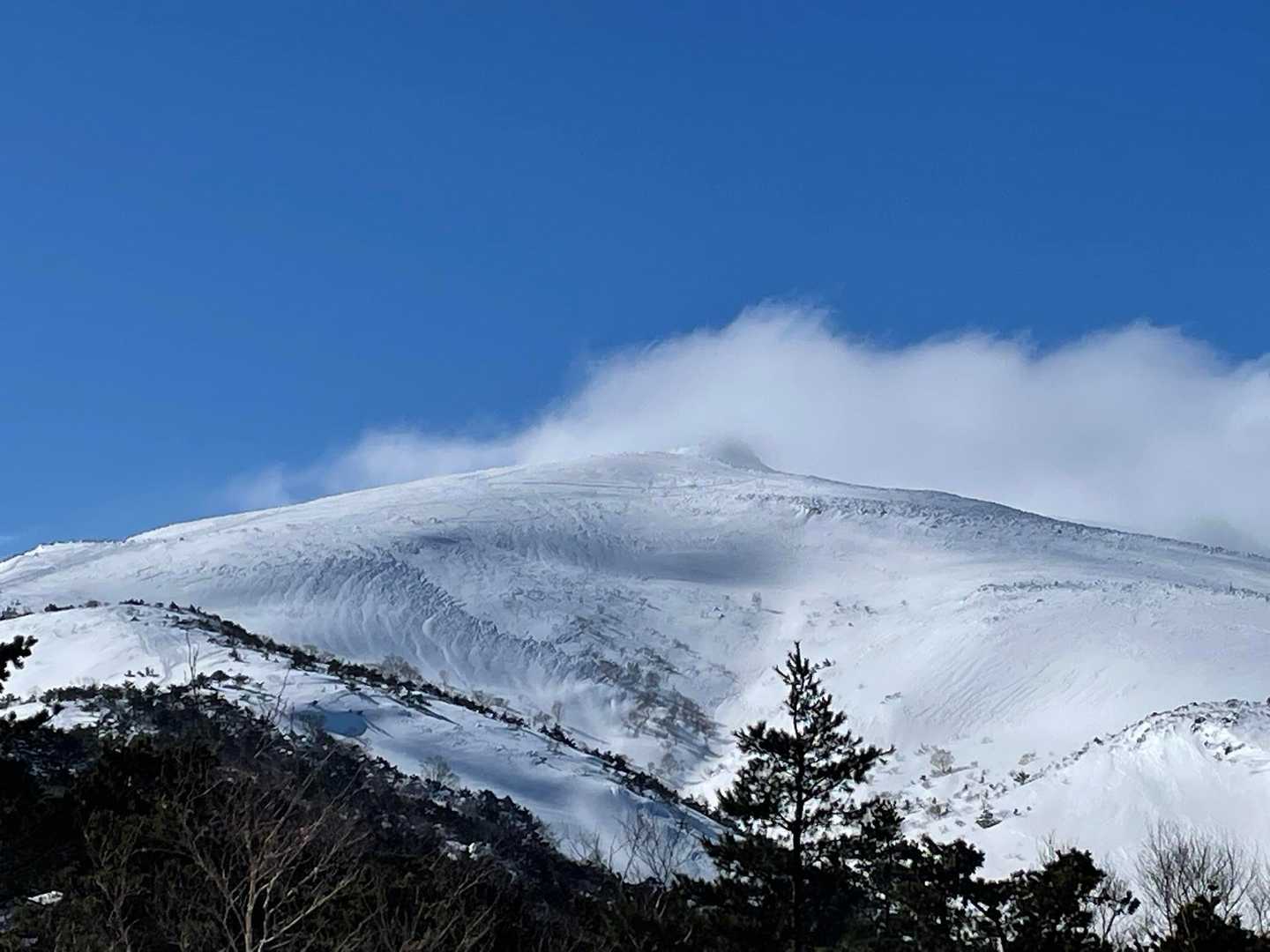 山頂アップ