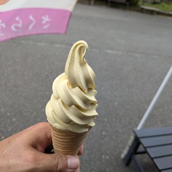 おっさんはソフトクリームが大好き