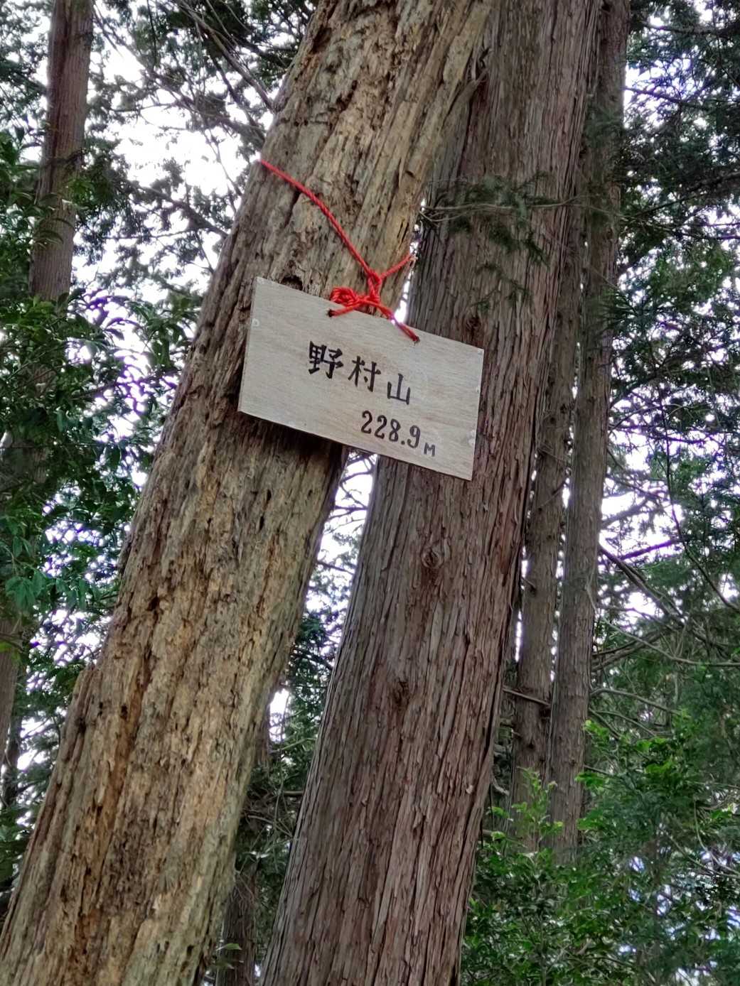野村山🏔