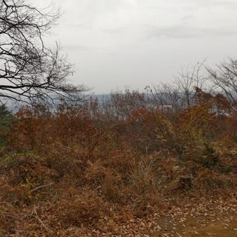 霞んでいて眺望は良くありませんでした😂