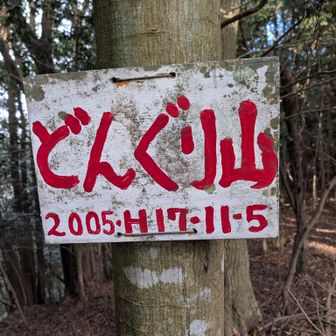 3座目
近くにはドングリなし