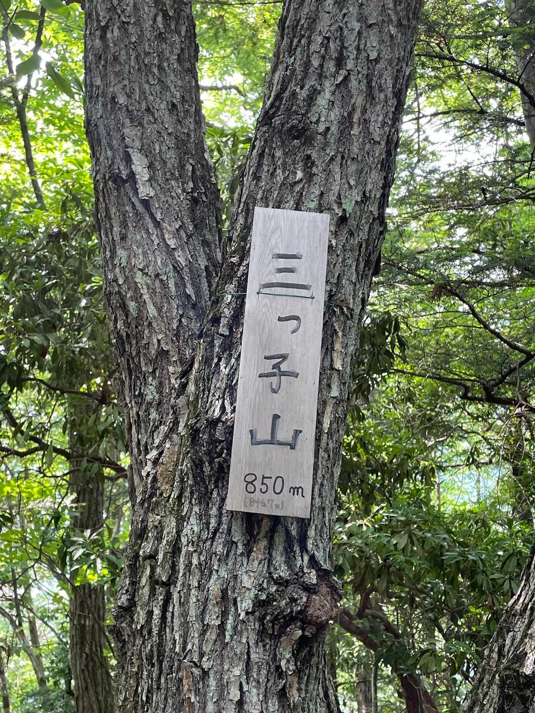 三ツ子山（みつごやま）山頂