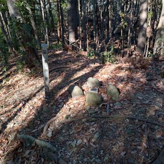 三角点に到着。