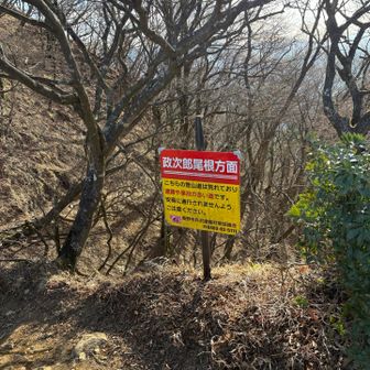 政次郎尾根から下ります。
不穏な看板ですが、以前から気になって調べていたルートなので、気をつけて行きます