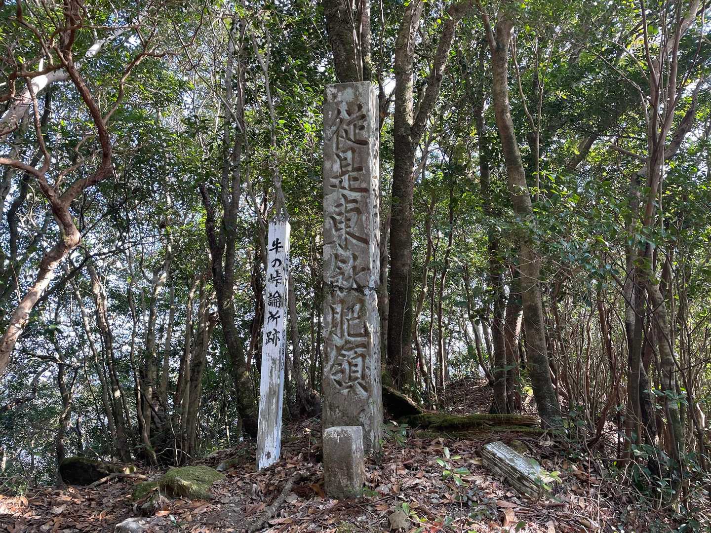 争ってんなぁ。