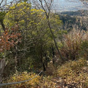 ここから下るのねぇ〜