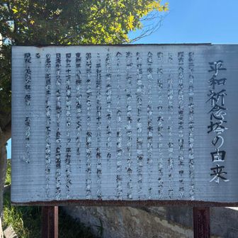 戦艦武蔵の演習について説明されています。