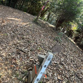 弁天山 464m 登頂！