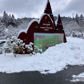 そんなこんなで無事にスタート地点到着❗️
本日、お会いした登山者のみなさんお疲れ様でした♪
50代も仕事も山歩きも頑張ります😁🖐️
お疲れ様でした♪