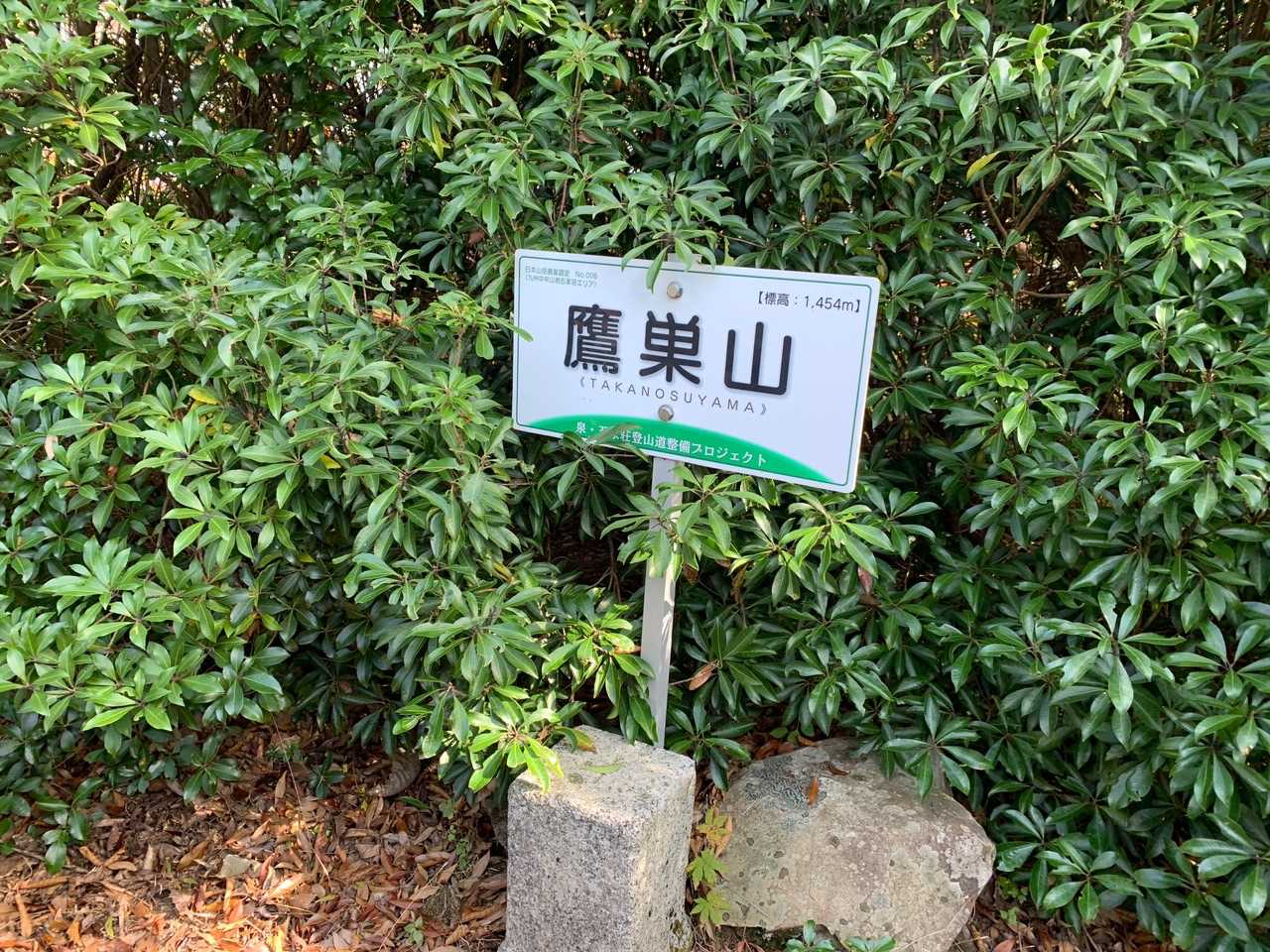 鷹巣山（たかのすやま）
久しぶりに普通の読み方。
でも灌木祭り。