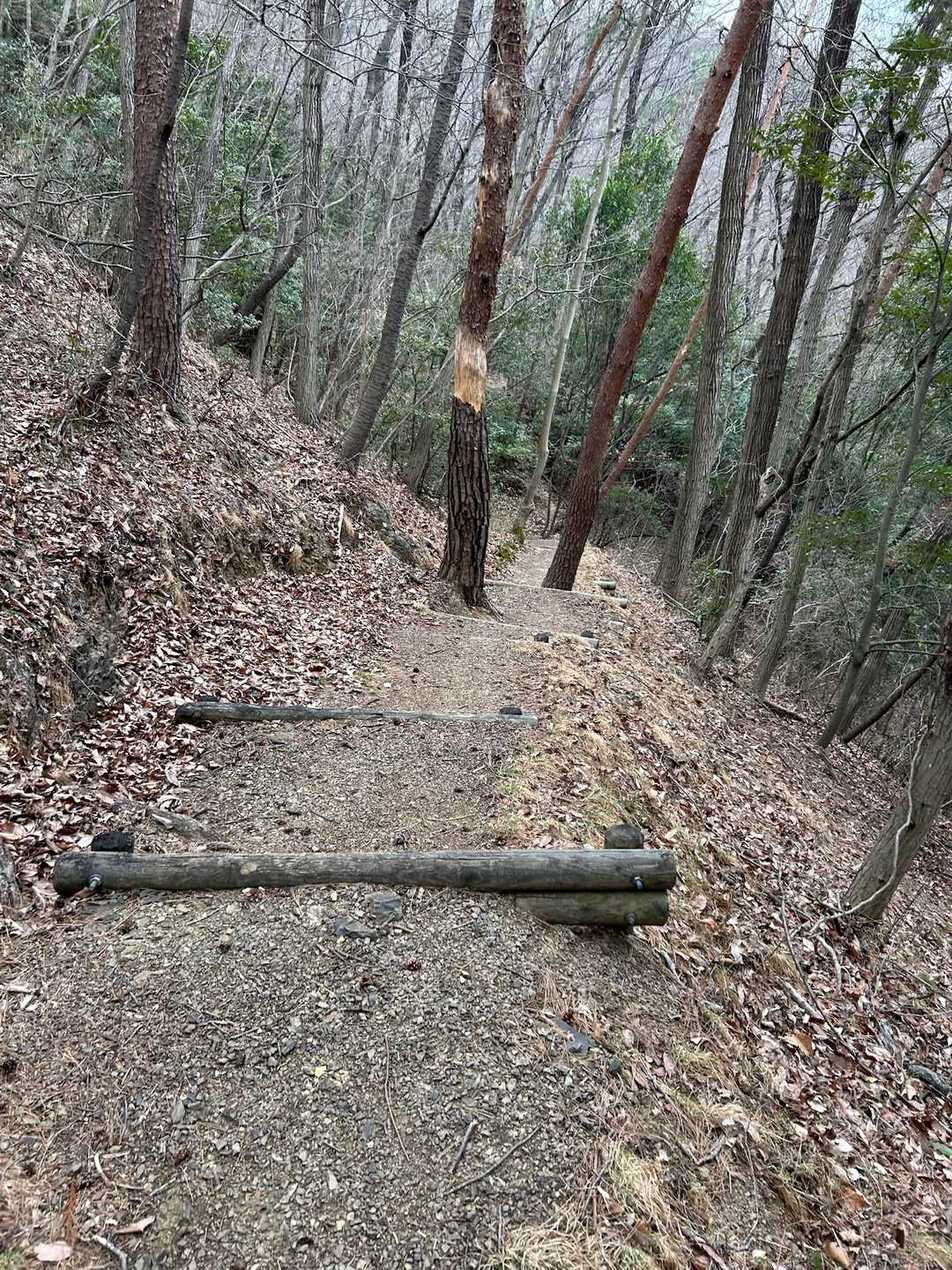 雷電山登山口-雷電山-鳩ノ峰-富士見山 周回コースの写真