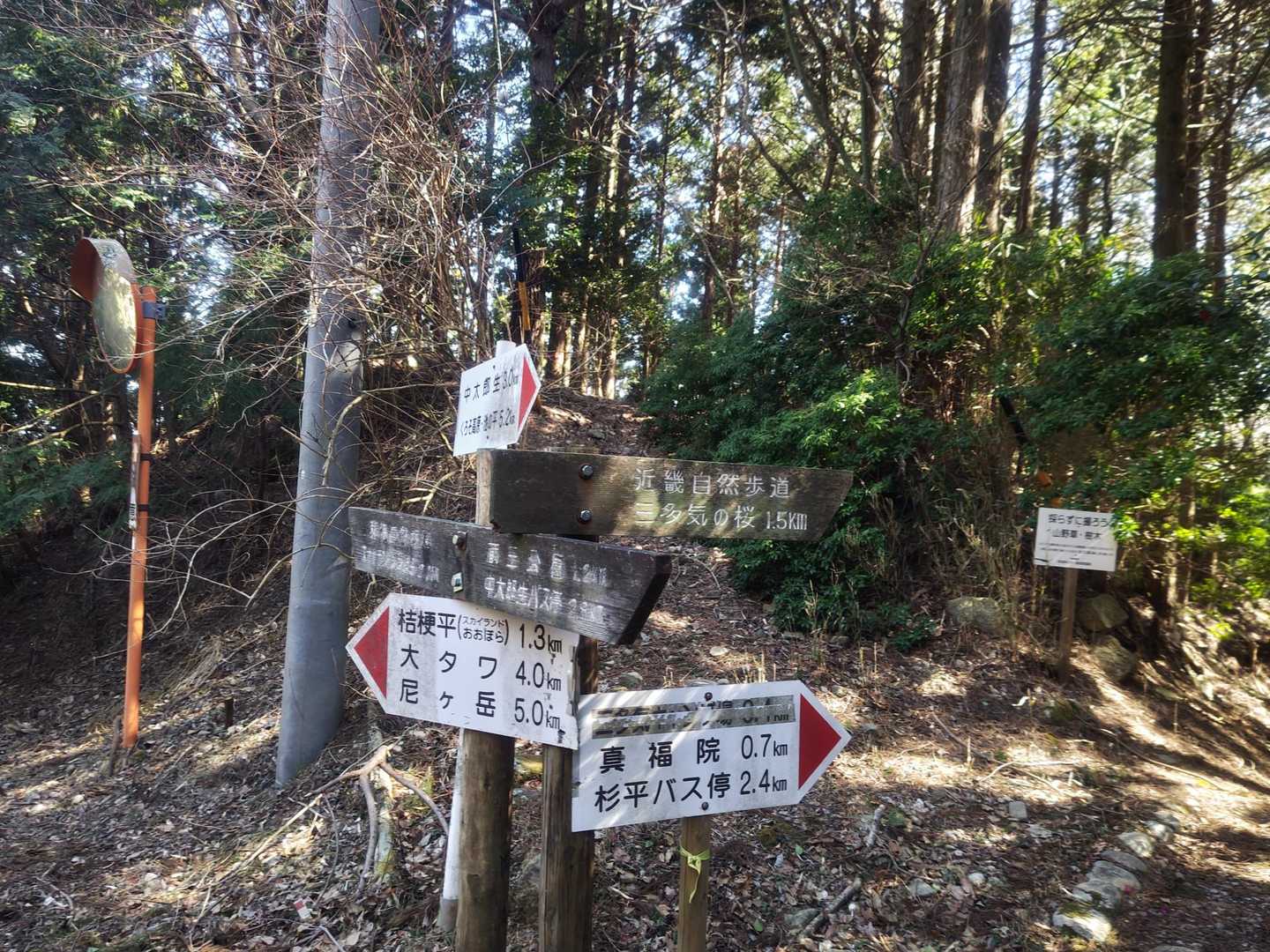 大洞山 往復コースの写真