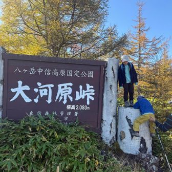 よじ登りたいちーさん