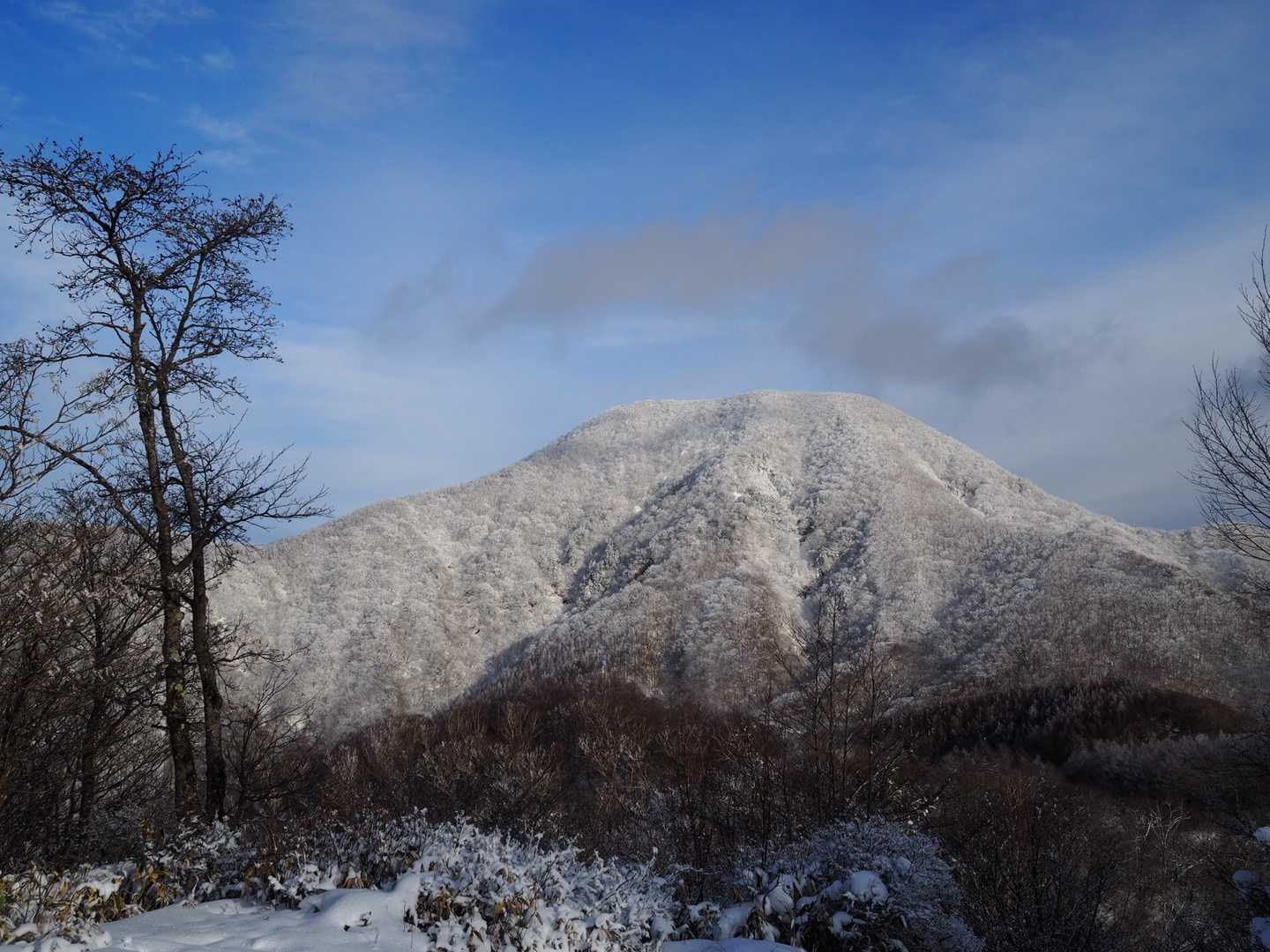 尾根というのは雪が溜まりやすいのかな

てっぺんは避けるべきなのかな
わからん

