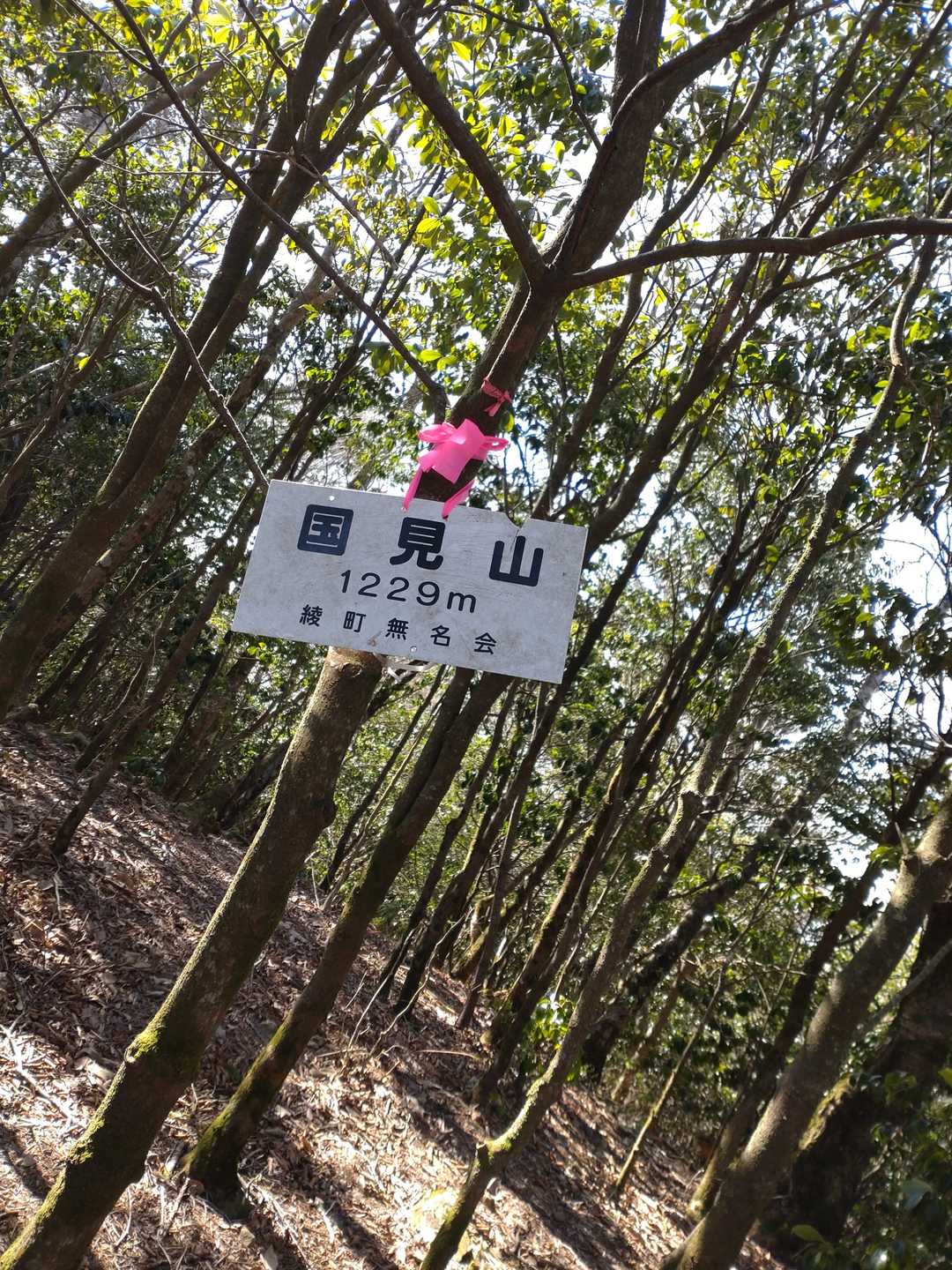 国見山まで足を延ばしました🥾
以前来た夏よりもこの時期は藪漕ぎわりと大丈夫でしたよ(^_-)

でも、相変わらず眺望はありませんね😅