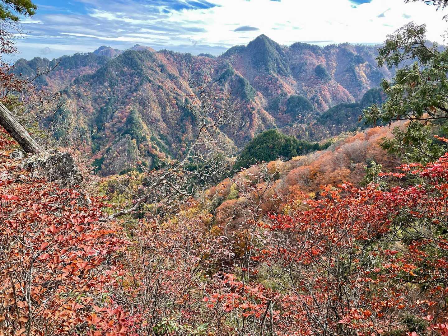 山一面、🍁🍁🍁