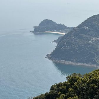 白い所が白浜海水浴場