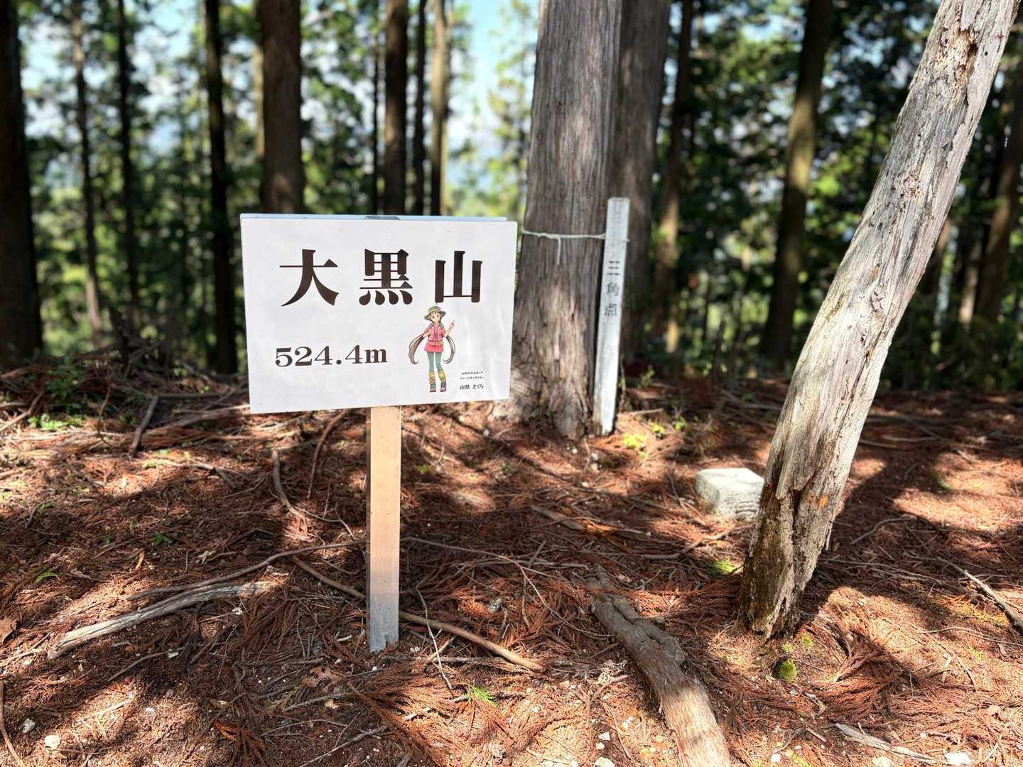 大黒山山頂🔺