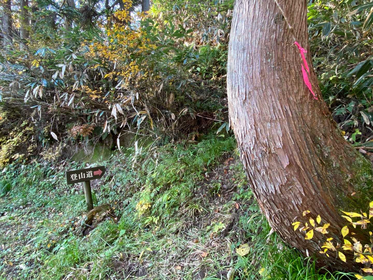 戻って正しい登山道へ…