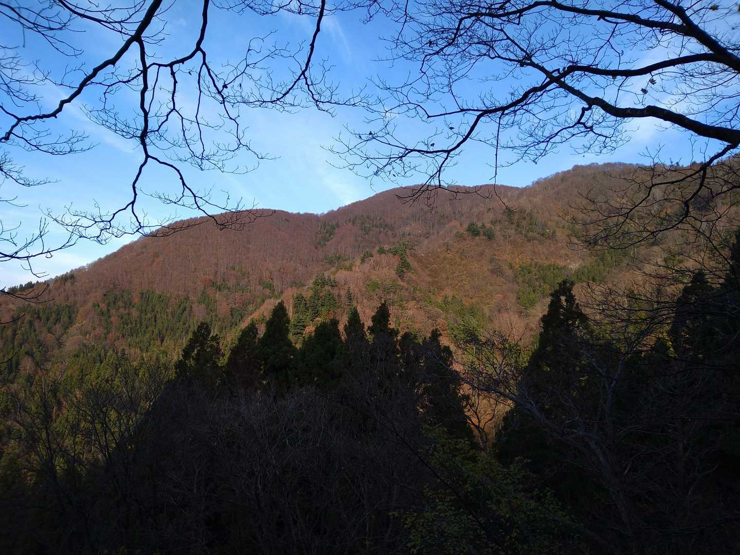 鈴ヶ岳登山口-鈴ヶ岳 往復コースの写真