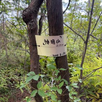 神明山ピーク✨いつも日向大神宮側を下りてくるので、こちらのピークもとても久しぶり