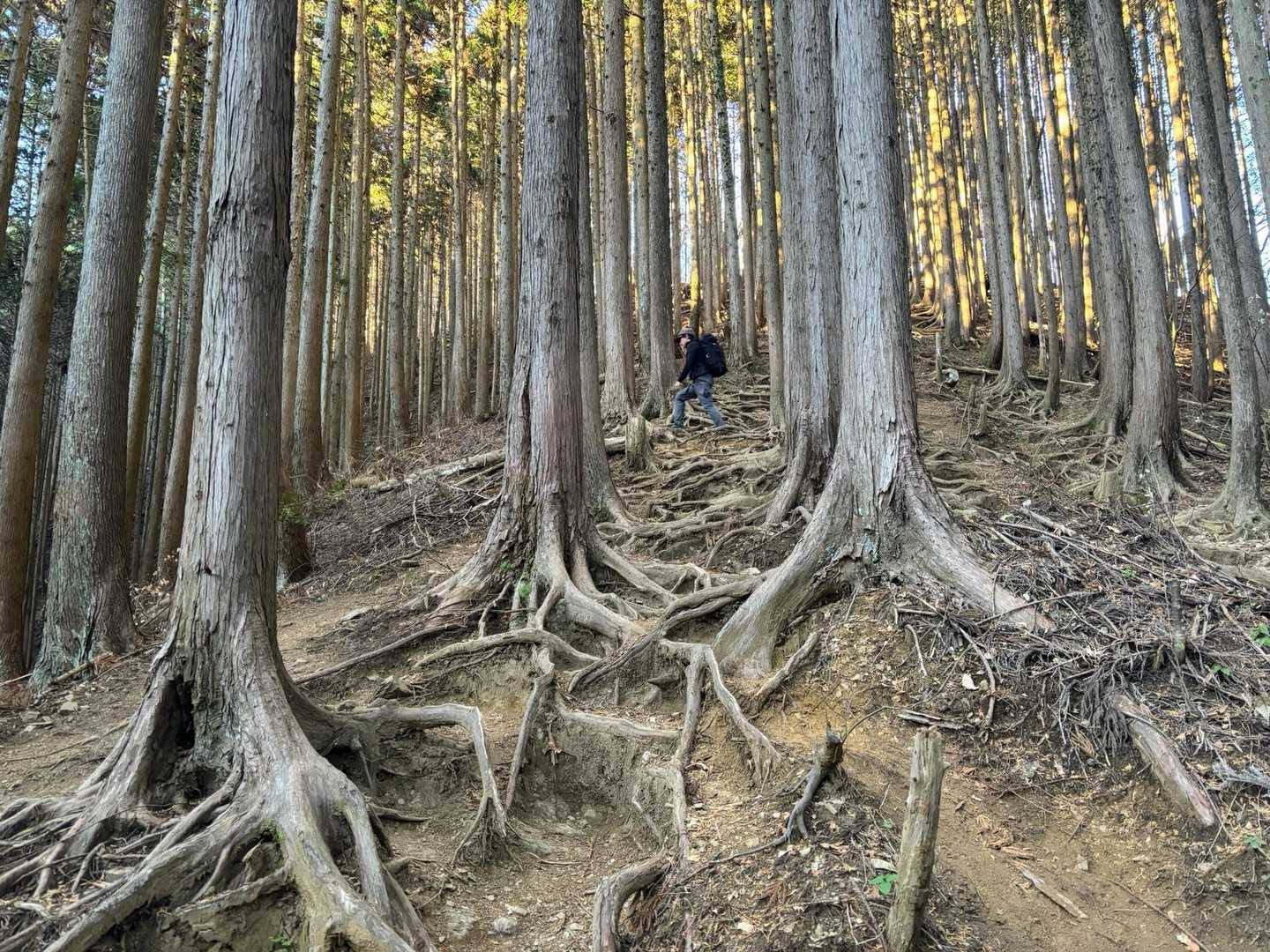 結構な勾配です💦
冷え込み強く🧤🧣着込んでのスタートでしたが
身体もすっかり温まりました☺️