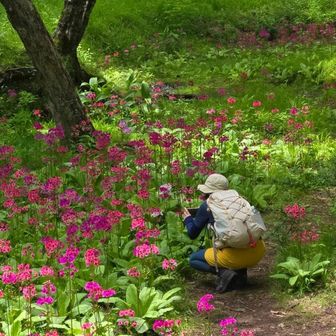 クリンソウ撮ってる私🤭
たくさん見られて満足です❣️
さて、中禅寺湖畔を歩いて戻ります🚶‍♀️