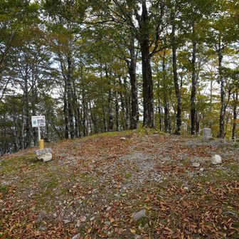 池小屋山  山頂に到着。