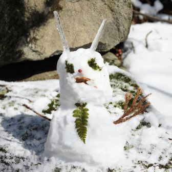 Ｔ氏が作った雪ダルマ☃️

鬼ダルマらしいけど…
私は USAダルマに見えて仕方がない⸜🐰⸝‍
鼻とネクタイは私σ(м･･ё)