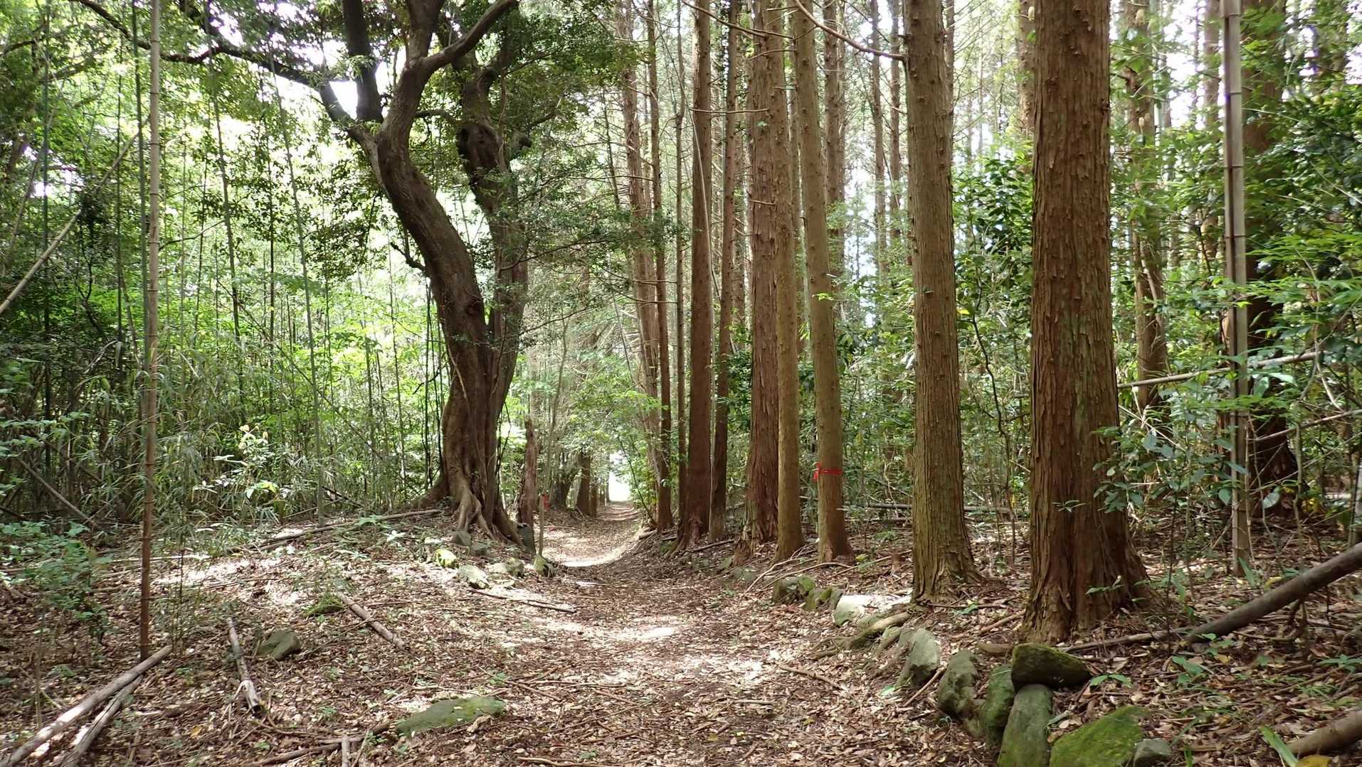 殿様道の出口が見えた。