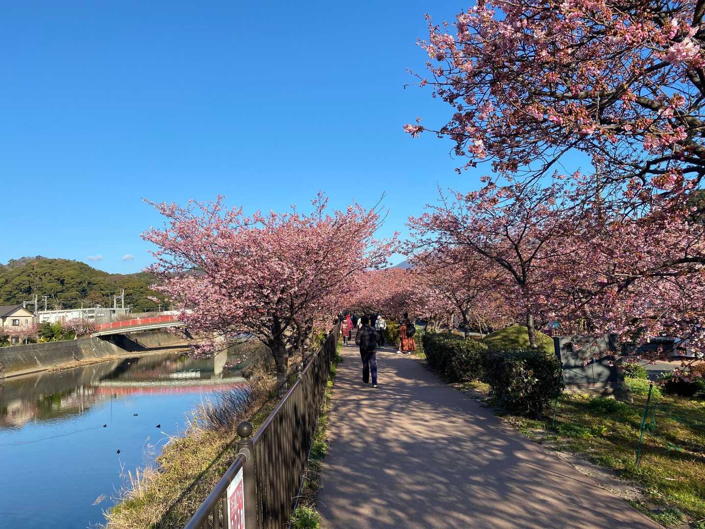 河津駅-河津城址公園入口-河津城山 往復コースの写真