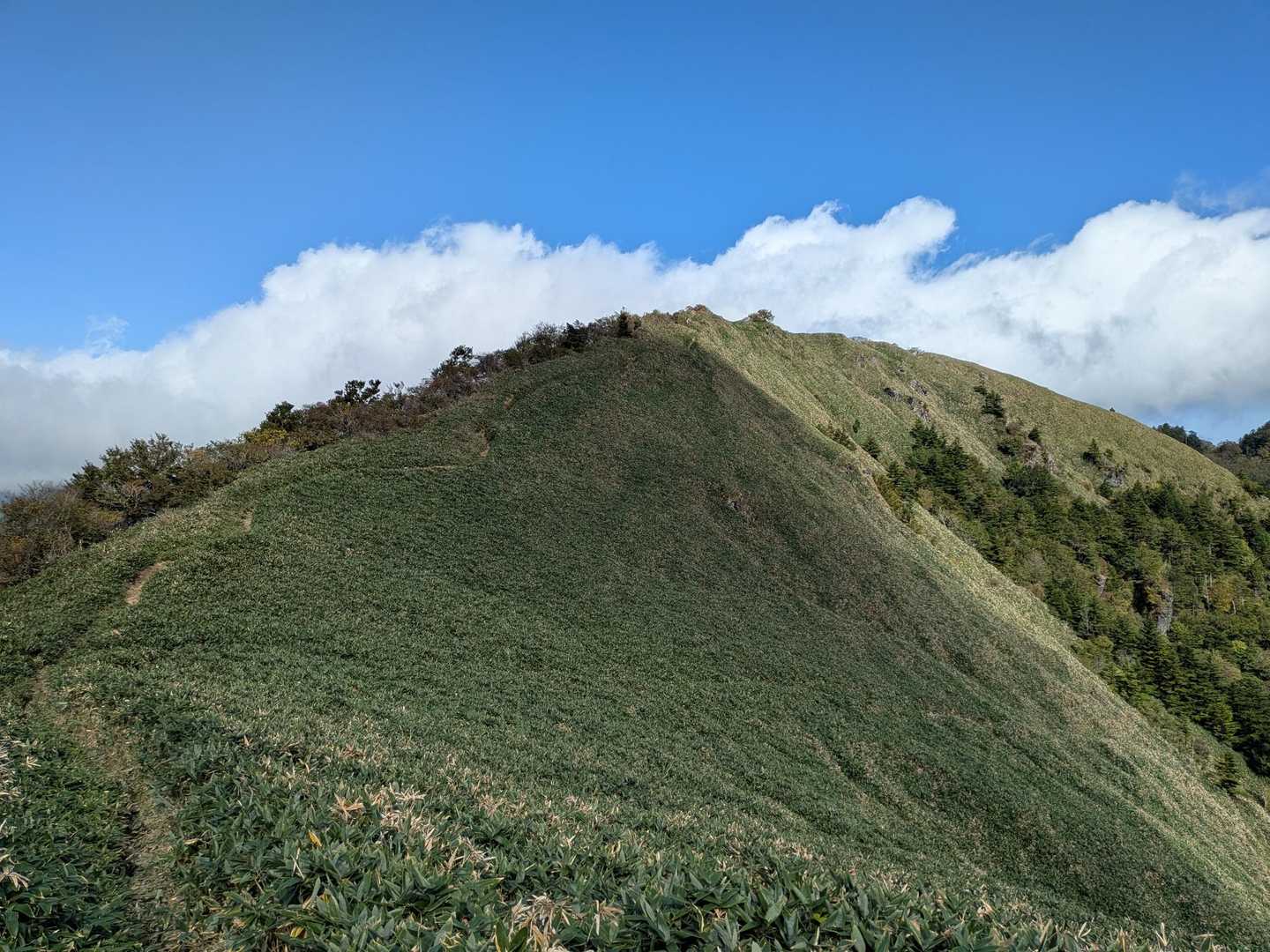 旧寒風山トンネル南口-伊予富士 往復コースの写真