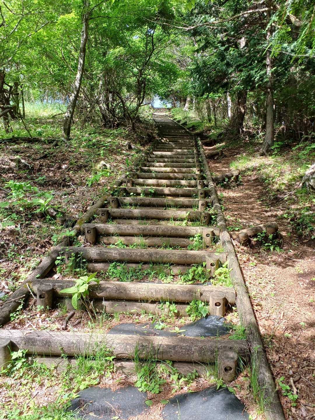 飯盛山山頂手前
この木段メチャ長く感じました🥵💦