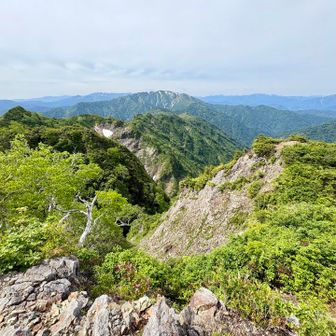 急登を登り終えると偽ピークからのご褒美。
浅草岳がドーン。
