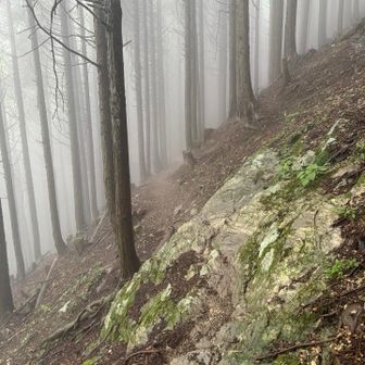 良い感じとは…？
道っぽく見えるところを道にしましたみたいな。
ﾋﾔﾘﾊｯﾄあるある