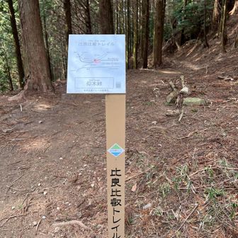 比良比叡トレイル？