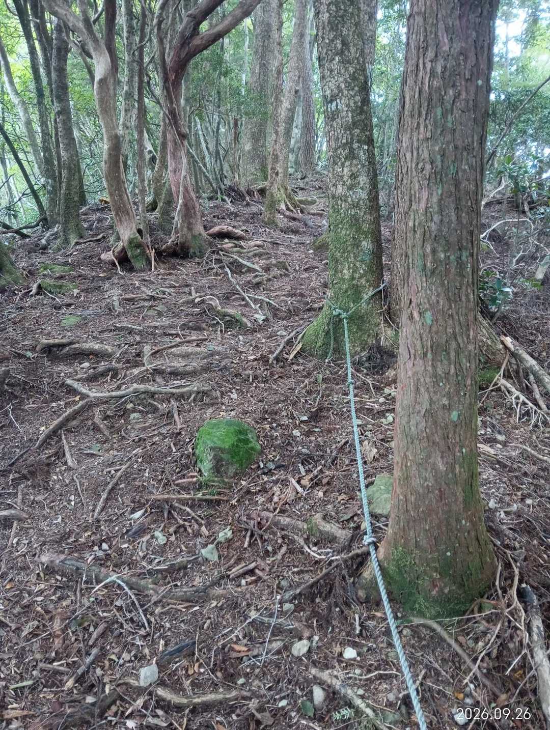 大水ノ森への登り返し…
こんなに下りたっけ？？
キツイ～